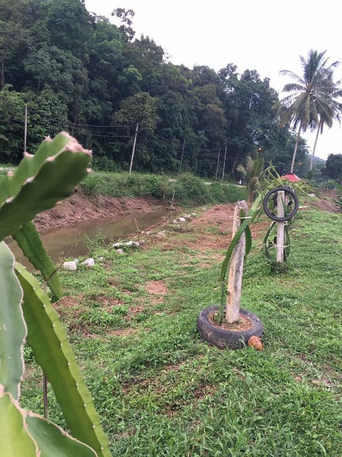 Panorama Homestay Jeram  외부 사진